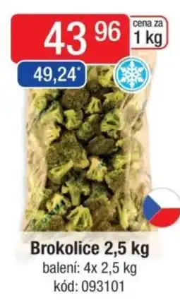 Qanto Brokolice nabídka