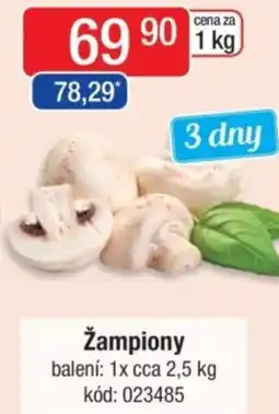 Qanto Žampiony nabídka