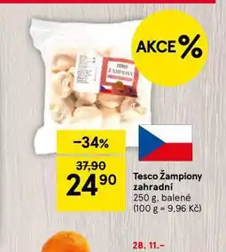 Tesco Žampiony zahradní nabídka