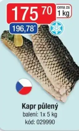 Qanto Kapr půlený nabídka