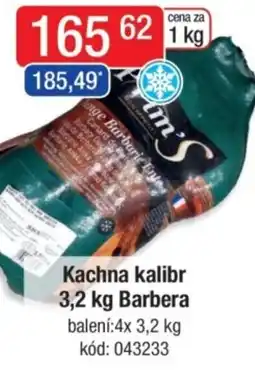 Qanto Kachna kalibr Barbera nabídka