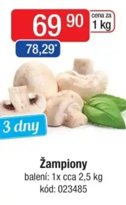 Qanto Žampiony nabídka