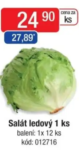 Qanto Salát ledový nabídka