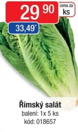 Qanto Římský salát nabídka