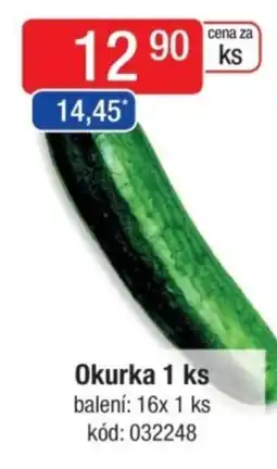 Qanto Okurka nabídka