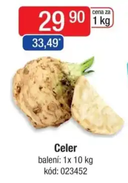 Qanto Celer nabídka