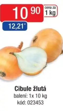 Qanto Cibule žlutá nabídka