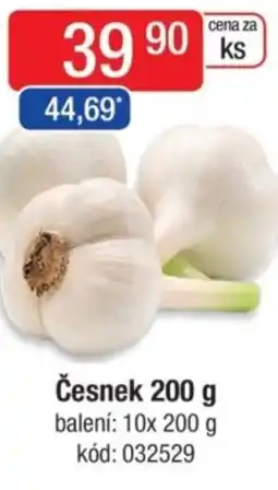 Qanto Česnek nabídka