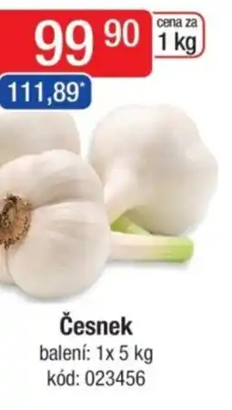 Qanto Česnek nabídka