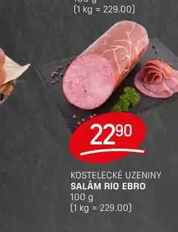 Flop SALÁM RIO EBRO 100 g nabídka