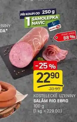 Flop SALÁM RIO EBRO 100 g nabídka