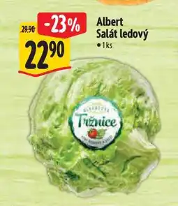Albert Albert Salát ledový 1 ks nabídka