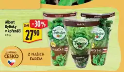 Albert Albert Bylinky v kořenáči 1ks nabídka