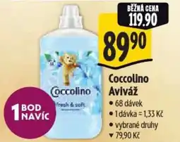 Albert Coccolino Aviváž nabídka