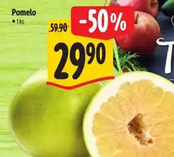 Albert Pomelo nabídka
