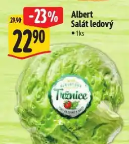 Albert Albert Salát ledový nabídka