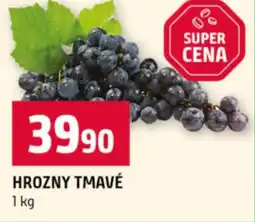 Terno Hrozny tmavé nabídka