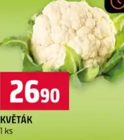 Terno Květák nabídka