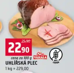 Terno Uhlířská plec nabídka