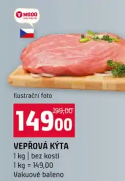 Terno Vepřová kýta nabídka