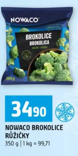 Terno Nowaco brokolice růžičky nabídka