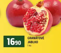 Terno Granátové jablko nabídka