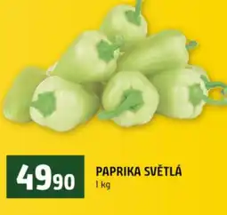 Terno Paprika světlá nabídka
