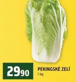 Terno Pekingské zelí nabídka