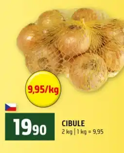 Terno Cibule nabídka
