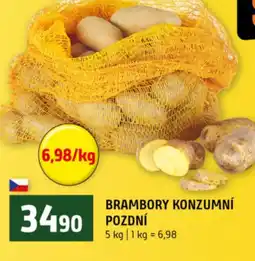 Terno Brambory konzumní pozdní nabídka