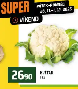 Terno Květák nabídka