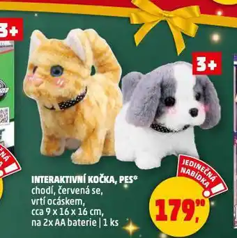 Penny Market Interaktivní kočka nabídka