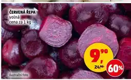 Penny Market Červená řepa nabídka