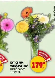Penny Market Kytice mix velká pestrá nabídka