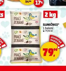 Penny Market Slunečnice nabídka