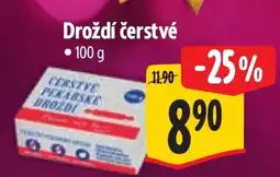 Albert Droždí čerstvé nabídka