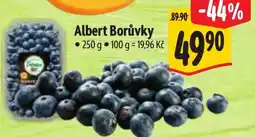 Albert Albert Borůvky nabídka