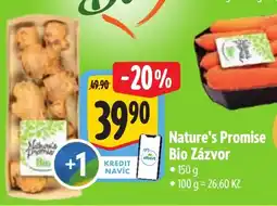 Albert Nature's Promise Bio Zázvor nabídka