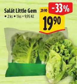 Albert Salát Little Gem nabídka