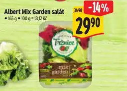 Albert Albert Mix Garden salát nabídka