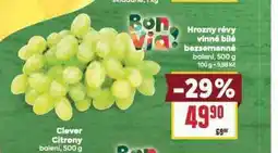 Billa Hrozny révy vinné bezsemenné nabídka