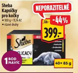 Albert Sheba Kapsičky pro kočky nabídka