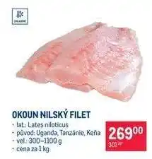 Makro Okoun nilský filet nabídka