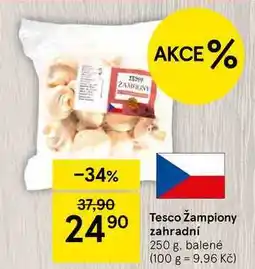 Tesco Tesco Žampiony zahradní, 250 g, balené nabídka