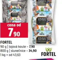 Terno Fortel nabídka