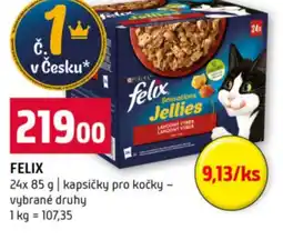 Terno Felix nabídka