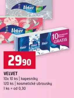 Terno Velvet nabídka