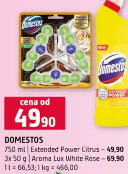 Terno Domestos nabídka