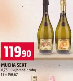 Terno Mucha sekt nabídka