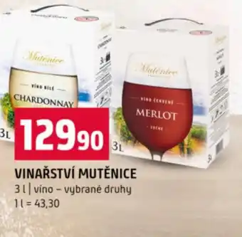 Terno Vinařství mutěnice nabídka